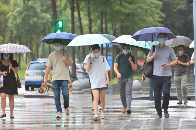 七号台风最新视频报道，台风动态与影响分析