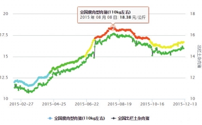 最新猪价格行情分析