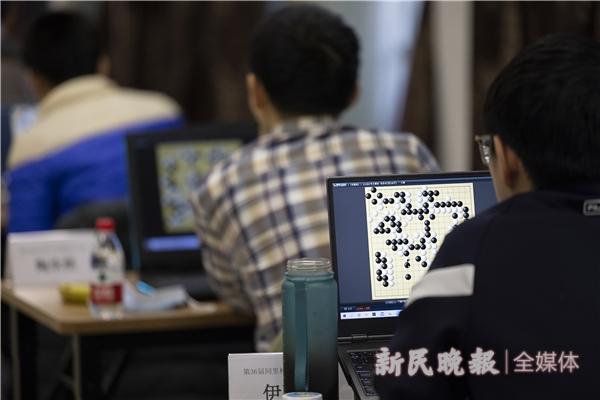 围棋今日最新消息，赛场动态与热议话题