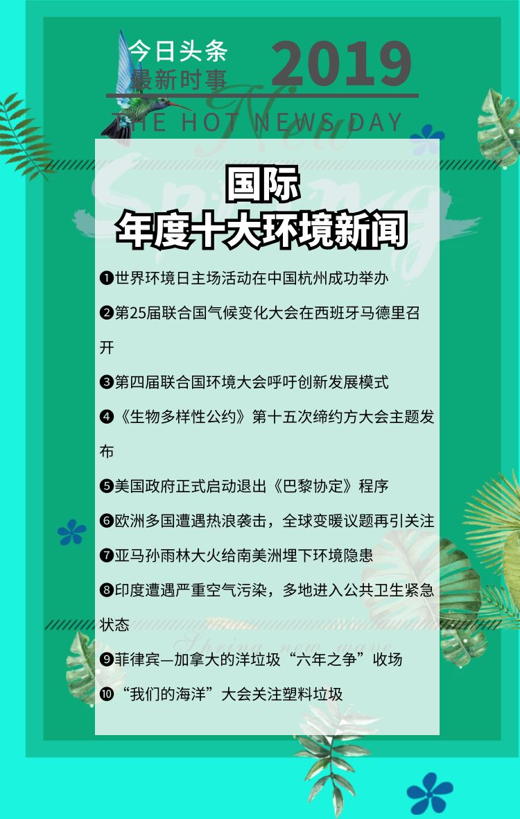 国内大事件最新回顾与展望，2019年