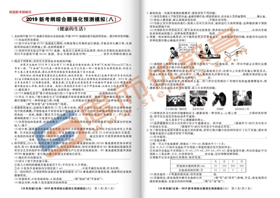 最新中考模拟训练五，策略、技巧与实践