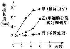 尹国驹最新动态2018，探索他的成长与影响